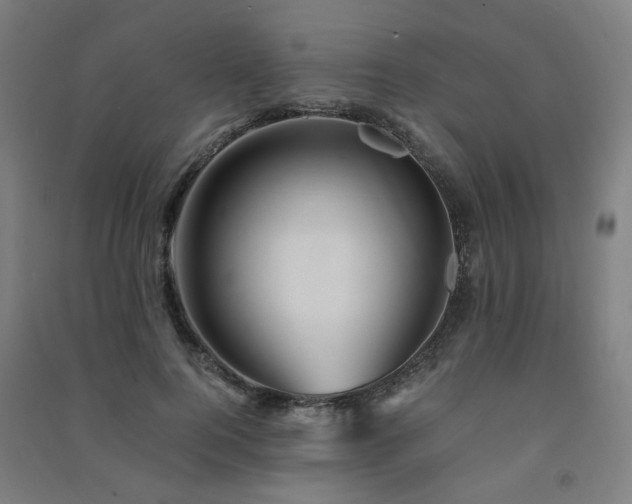 X0000091490744200708161438