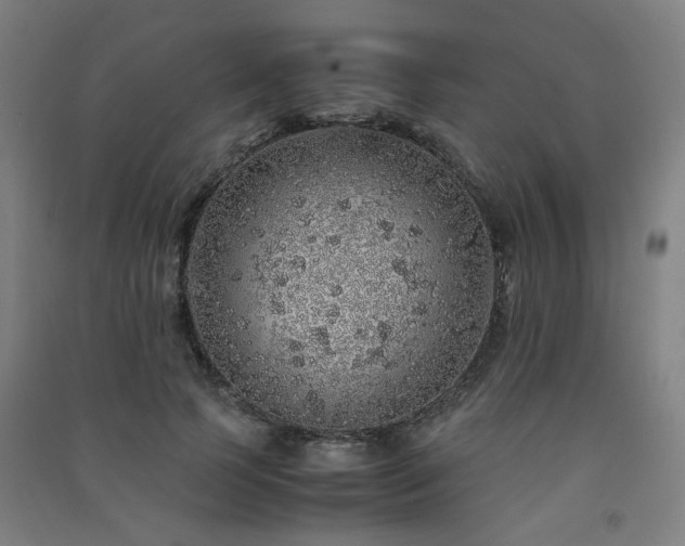 X0000091490745200708161438