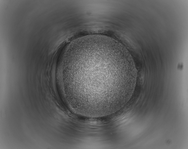X0000091490746200708161438