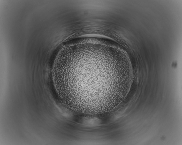 X0000091490747200708161438