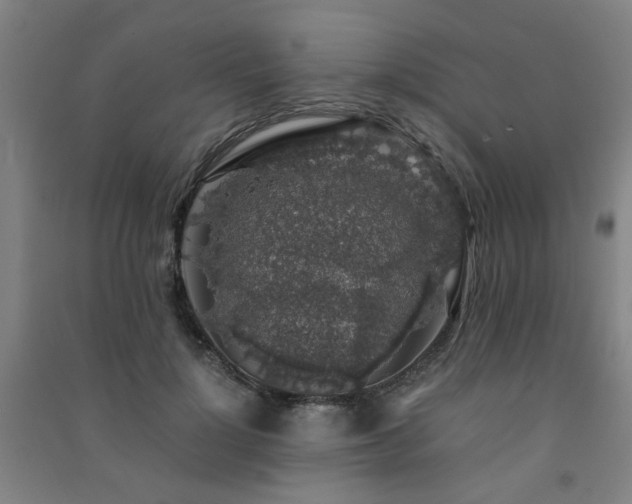 X0000091490748200708161438