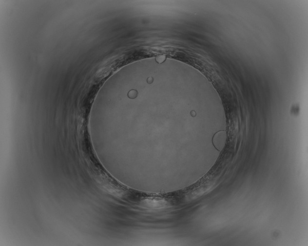 X0000091490749200708161438