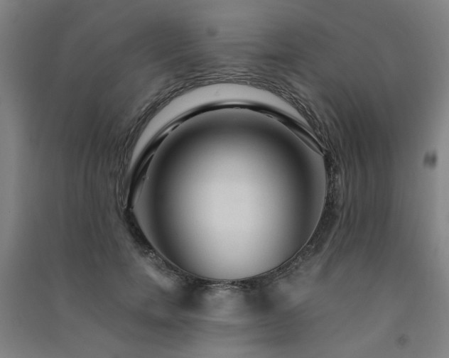 X0000091490750200708161438