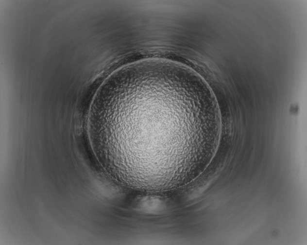 X0000091490751200708161438