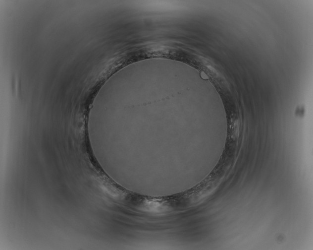 X0000091490753200708161438