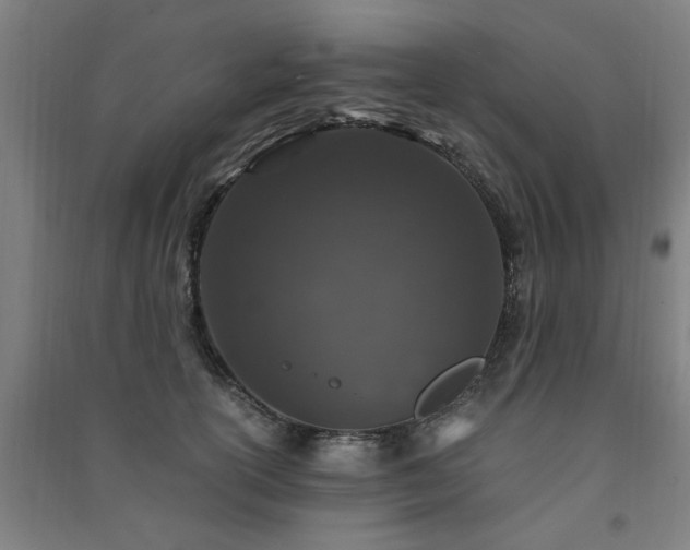 X0000091490754200708161438