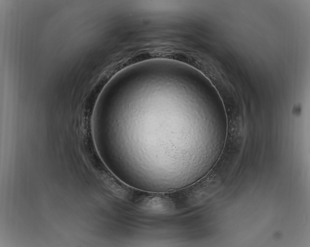 X0000091490755200708161438