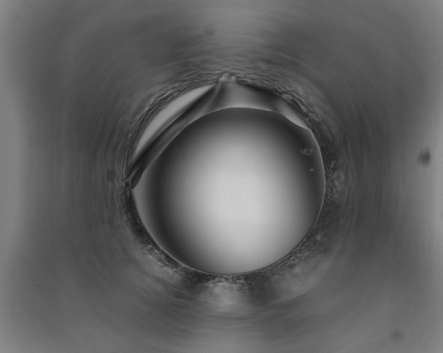 X0000091490756200708161438