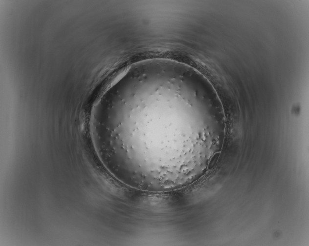 X0000091490758200708161438