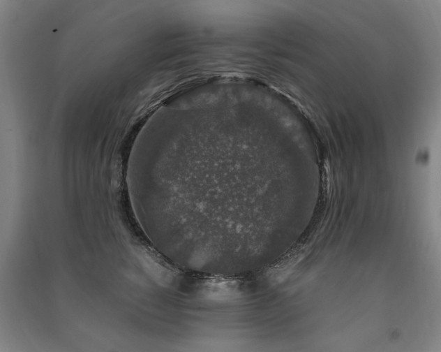 X0000091490760200708161438
