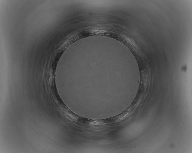 X0000091490761200708161438