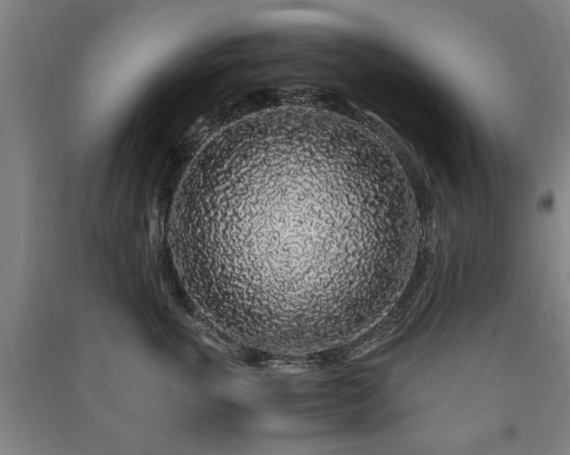 X0000091490763200708161438
