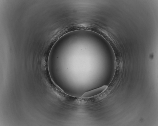 X0000091490764200708161438