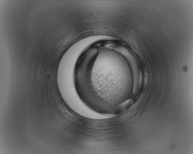 X0000091490766200708161438