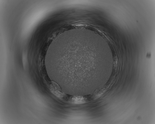 X0000091490767200708161438
