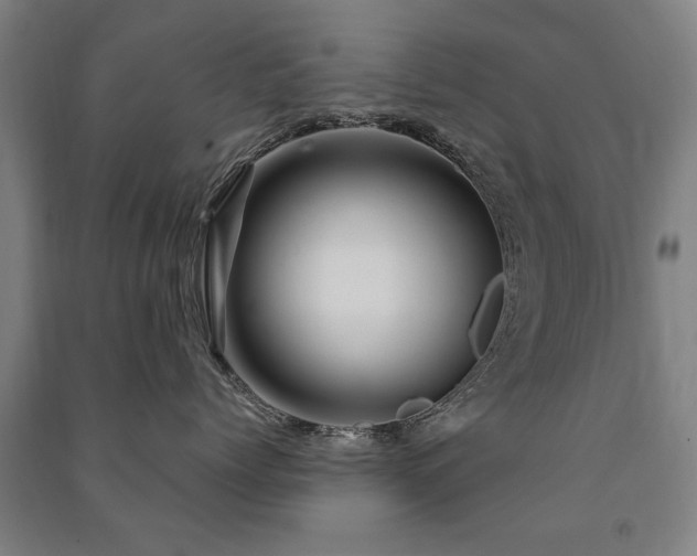 X0000091490768200708161438