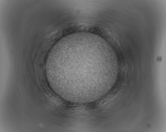 X0000091490769200708161438