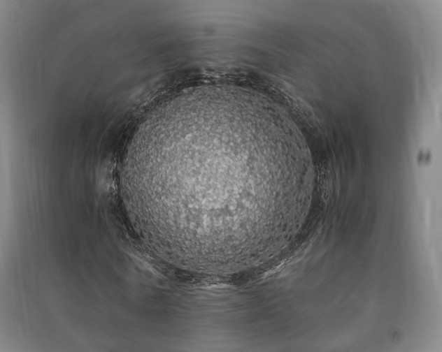 X0000091490770200708161438