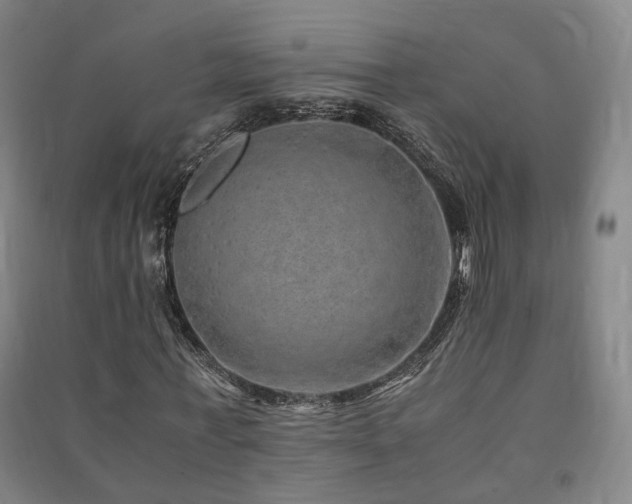 X0000091490771200708161438