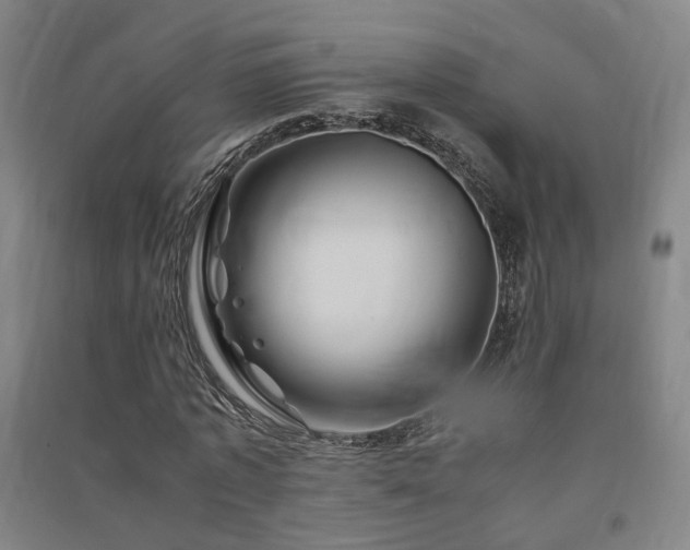 X0000091490773200708161437