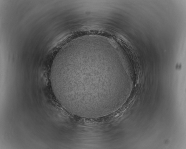 X0000091490774200708161437
