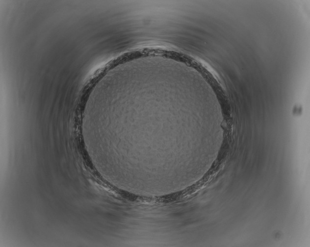 X0000091490775200708161437