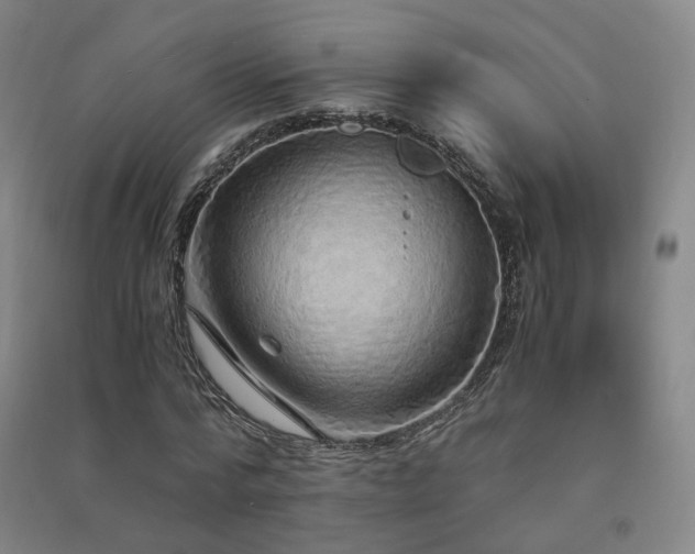 X0000091490776200708161437