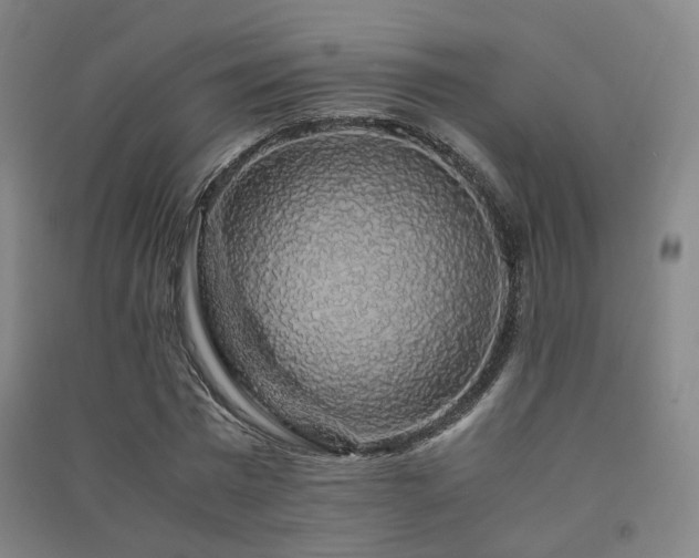 X0000091490777200708161437