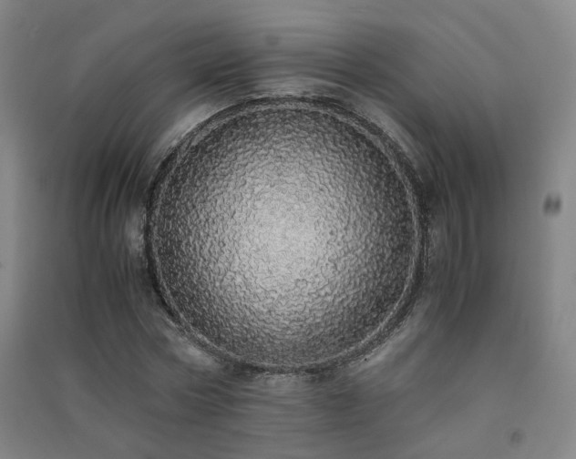 X0000091490778200708161437