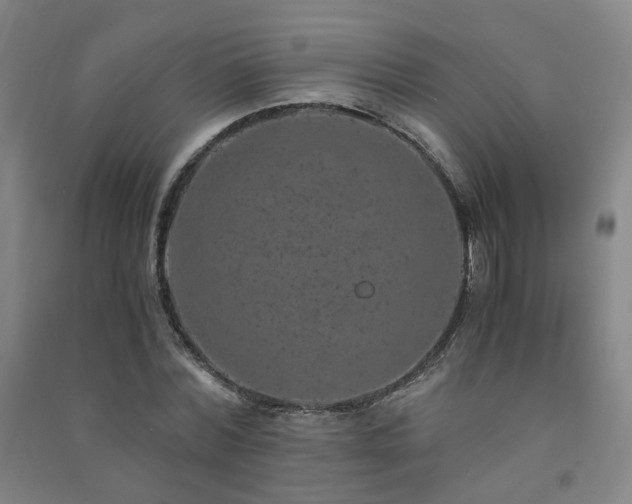 X0000091490780200708161437