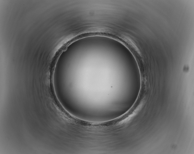 X0000091490781200708161437