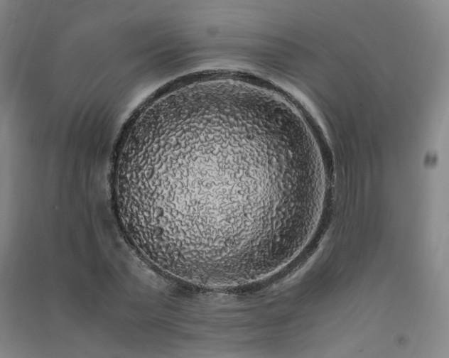 X0000091490783200708161437