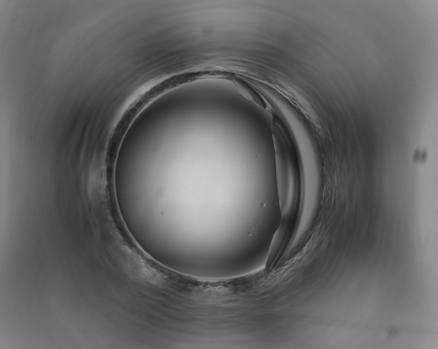 X0000091490784200708161437
