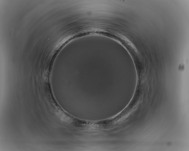 X0000091490785200708161437
