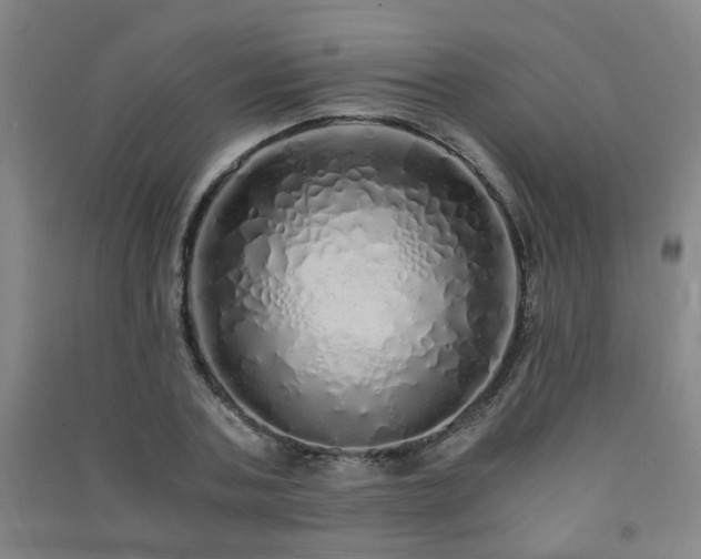X0000091490787200708161437