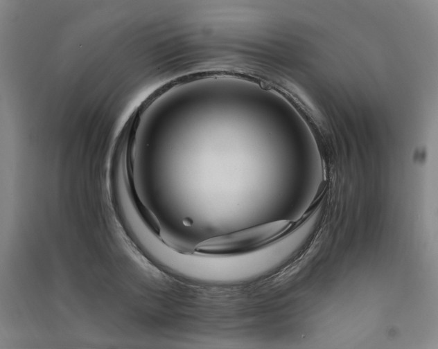 X0000091490788200708161437