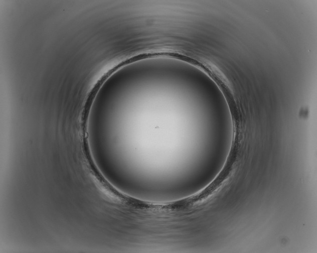 X0000091490789200708161437