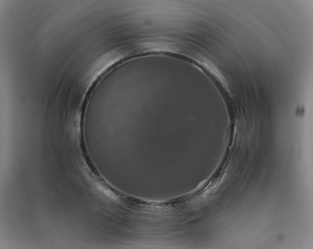 X0000091490790200708161437