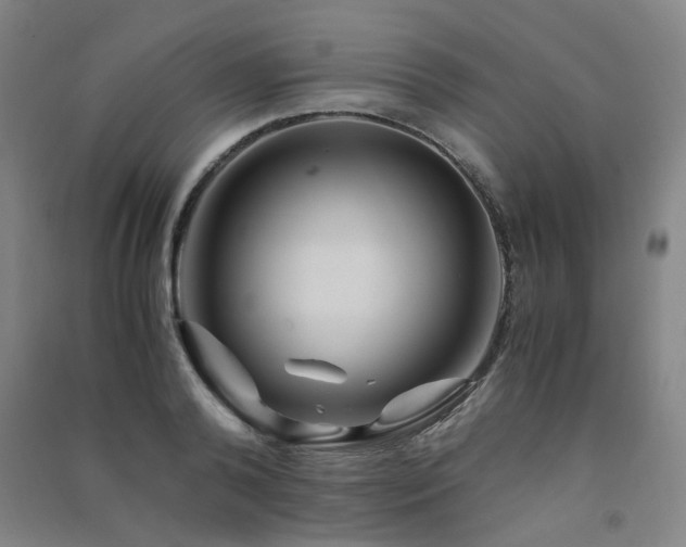 X0000091490792200708161437