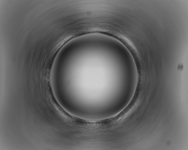 X0000091490793200708161437