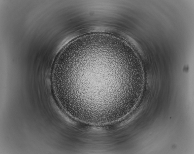 X0000091490794200708161437