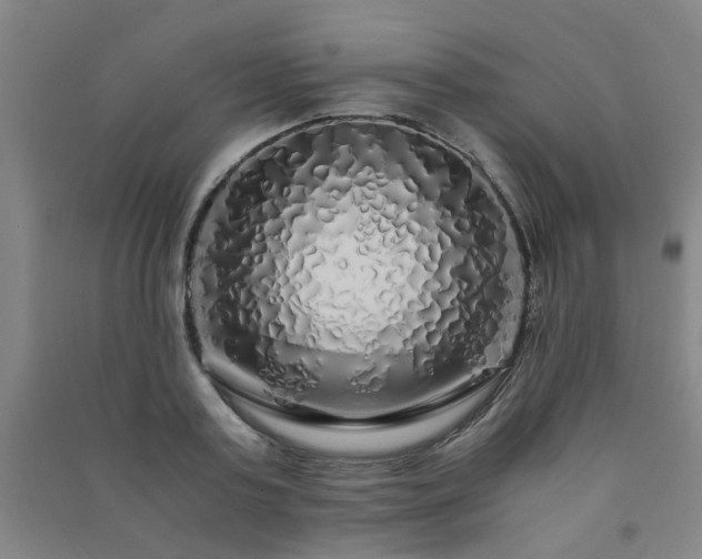 X0000091490795200708161437