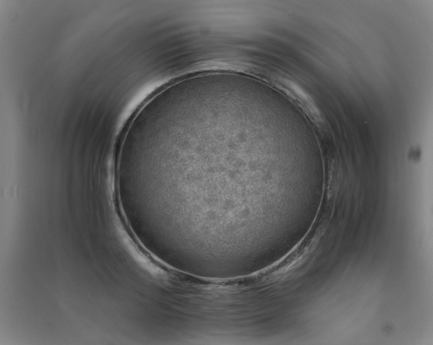 X0000091490796200708161437
