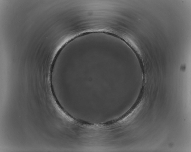 X0000091490797200708161437