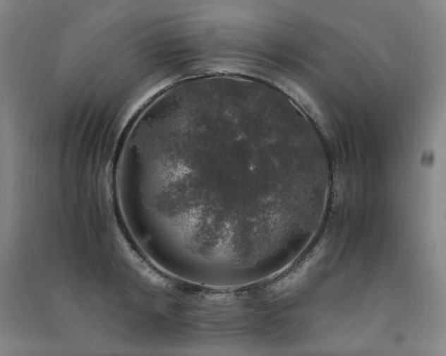 X0000091490798200708161437