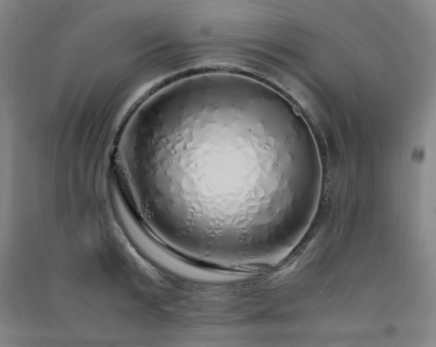 X0000091490799200708161437