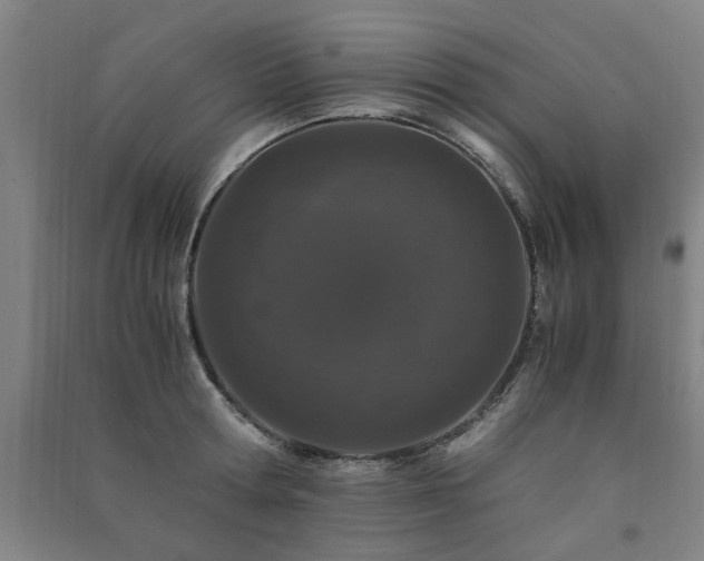 X0000091490802200708161437