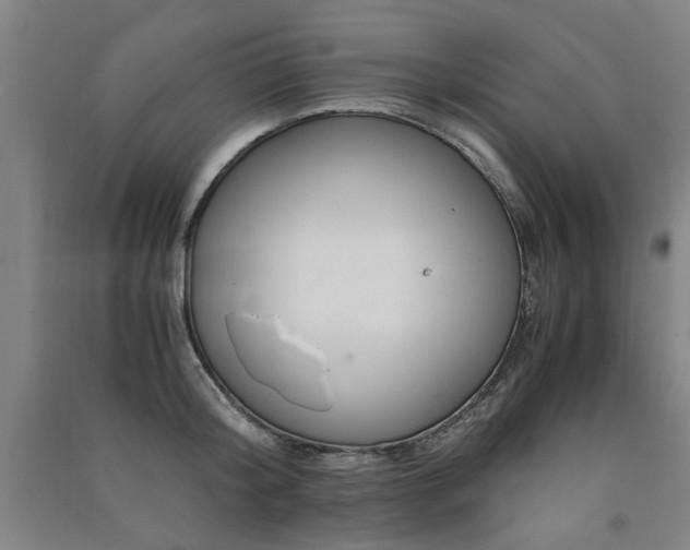 X0000091490804200708161437