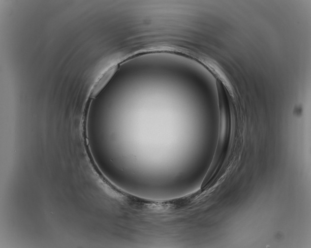 X0000091490805200708161437