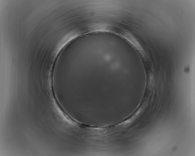 X0000091490806200708161437